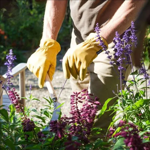 Leather Garden Gloves