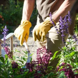 Leather Garden Gloves